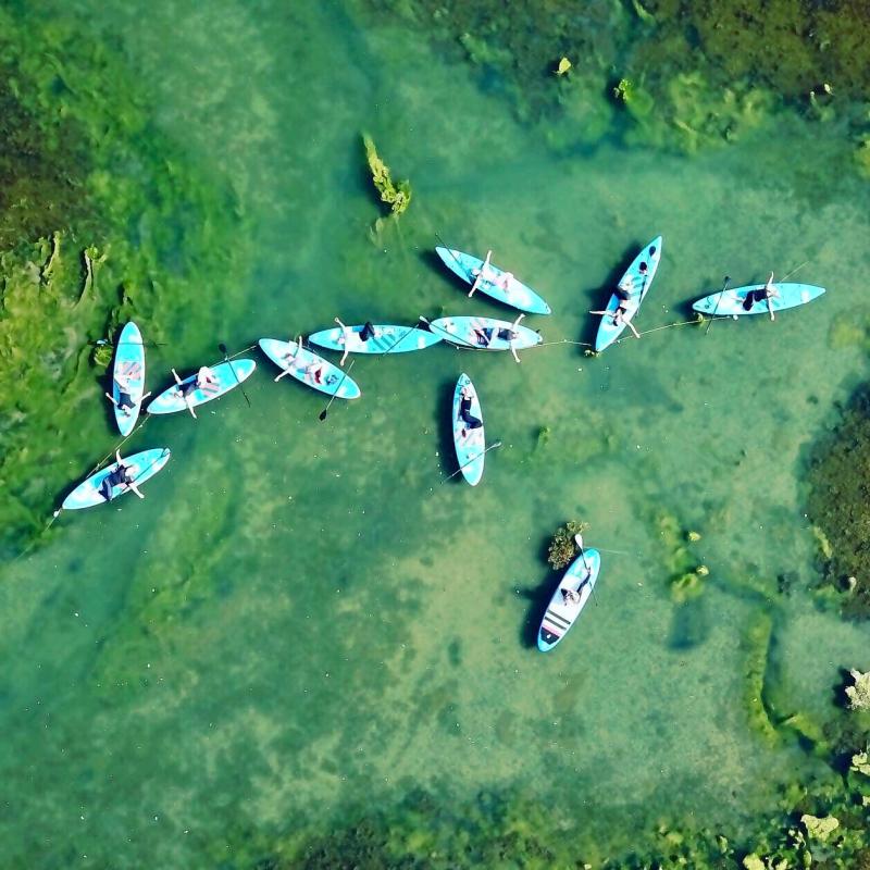 a group of people flying kites in the sky